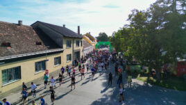 Stur (2)